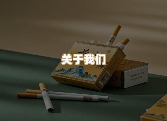 关于蓝帝网